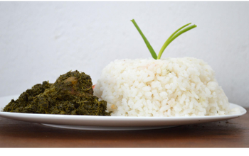 From Baobab Groves to Coastal Kitchens